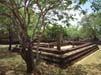 Polonnaruwa