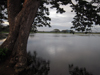 Tissa See