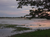 Tissa See
