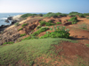 Bundula