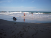 Goyambokka Beach