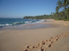 Silent Beach
