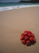 Silent Beach