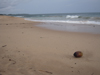 Silent Beach