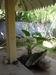 Secret Guesthouse