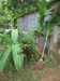 Secret Guesthouse