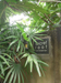 Secret Guesthouse