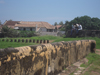 Galle