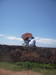 Galle
