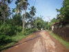 Mirissa Hinterland