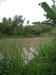 Mirissa Hinterland