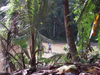 Mirissa Hinterland