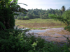 Mirissa Hinterland