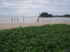 Fischmarkt, Strand Weligama