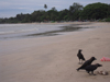 Fischmarkt, Strand Weligama