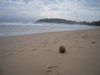 Mirissa Beach
