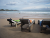 Mirissa Beach