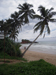Mirissa Beach