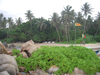 Secret Beach